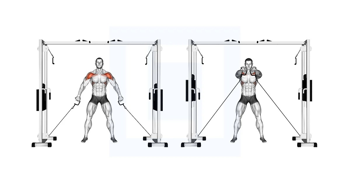 Cable Standing Face Pull Guide, Benefits, and Form