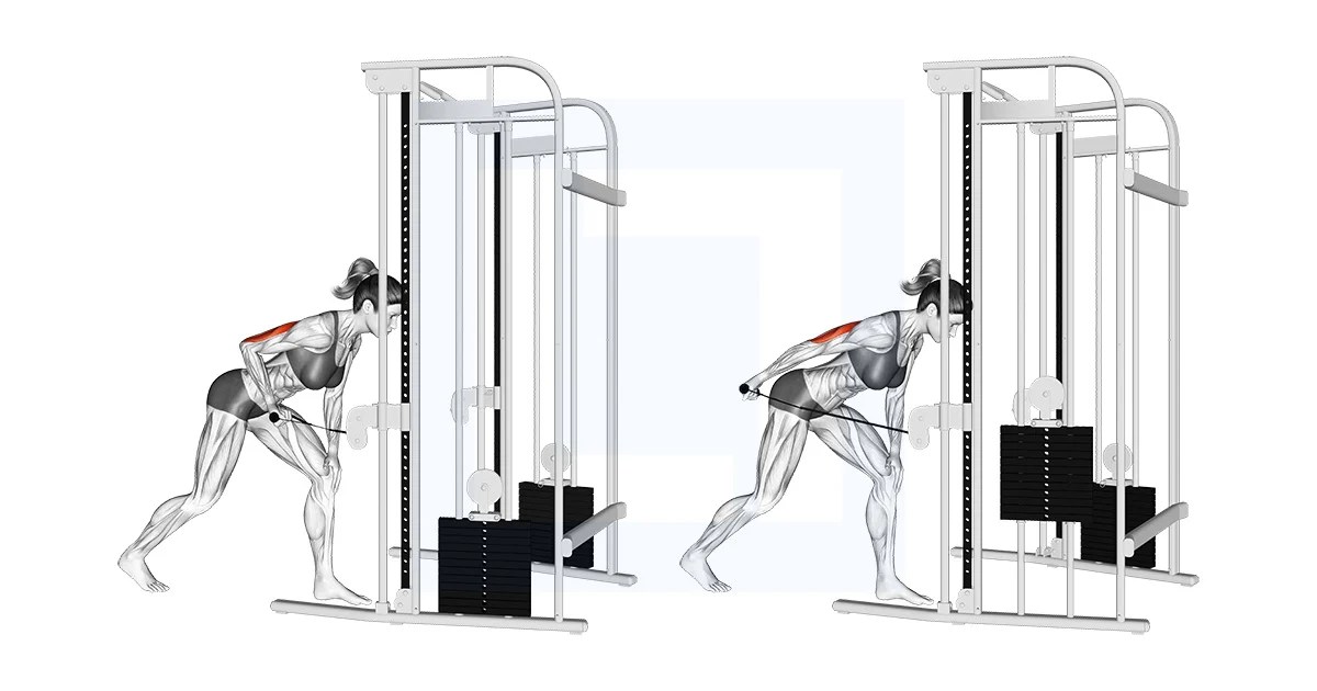 Cable Kickback Guide, Benefits, and Form
