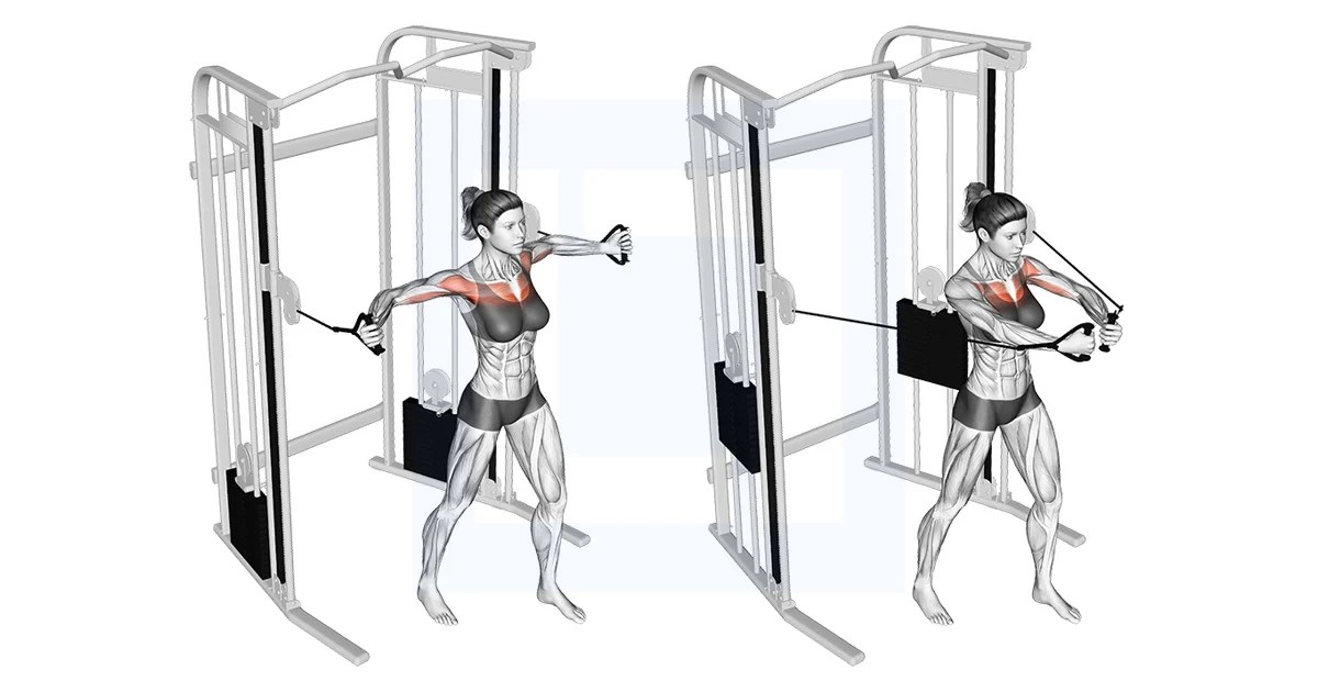 Cable Middle Fly Guide, Benefits, and Form