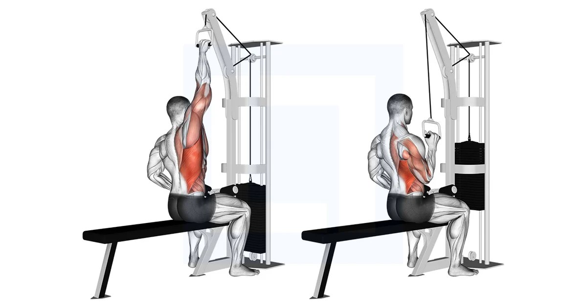 Cable One Arm Lat Pulldown Guide, Benefits, and Form