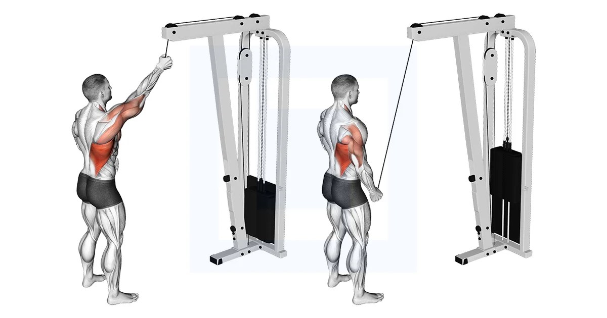 Cable One Arm Pulldown Guide, Benefits, and Form