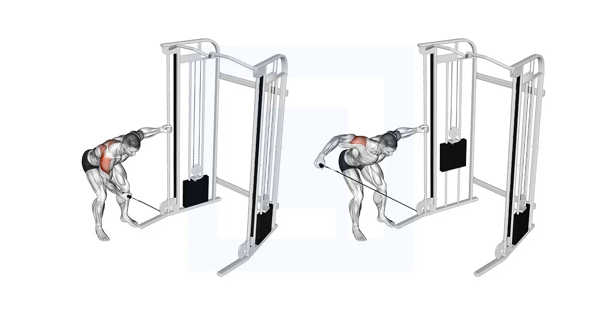 Cable One Arm Reverse Fly Guide, Benefits, and Form