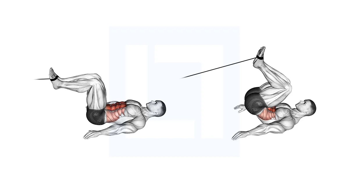 Cable Reverse Crunch Guide, Benefits, and Form