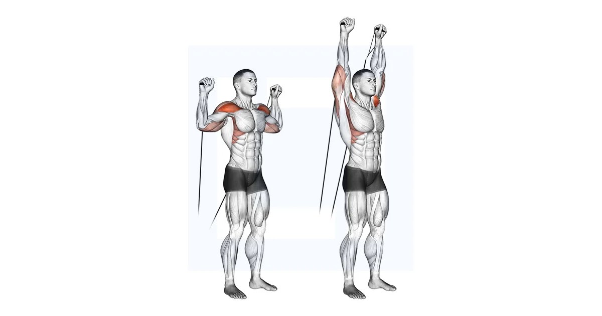 Cable Shoulder Press Guide, Benefits, and Form