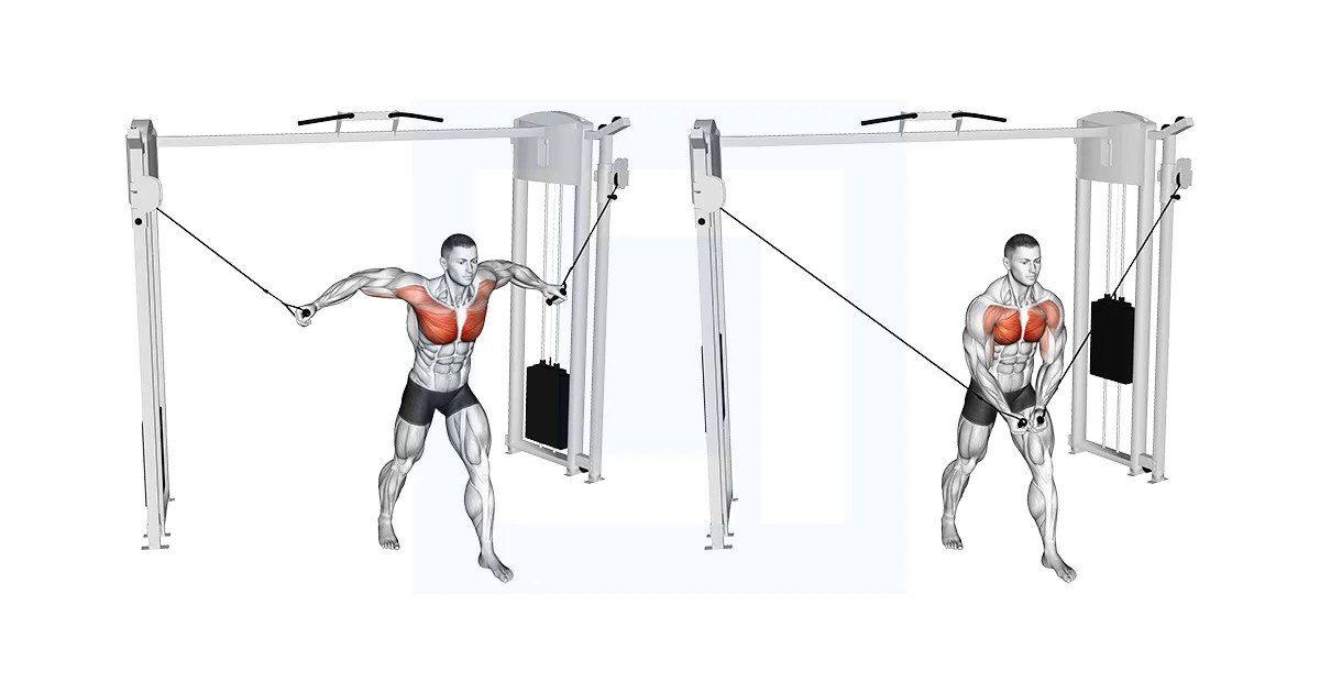 Cable Standing Fly Guide, Benefits, and Form