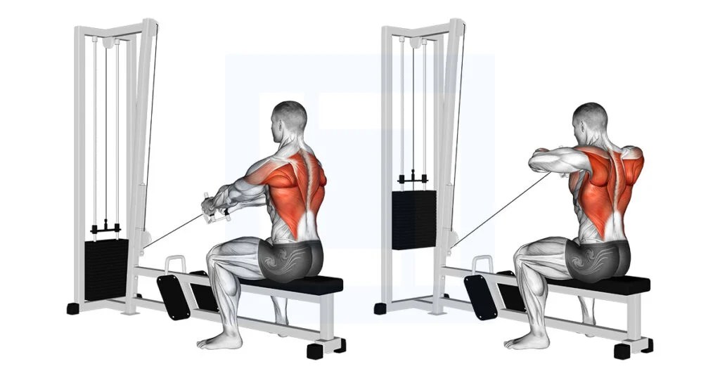 Cable Straight Arm Pulldown Guide, Benefits, and Form