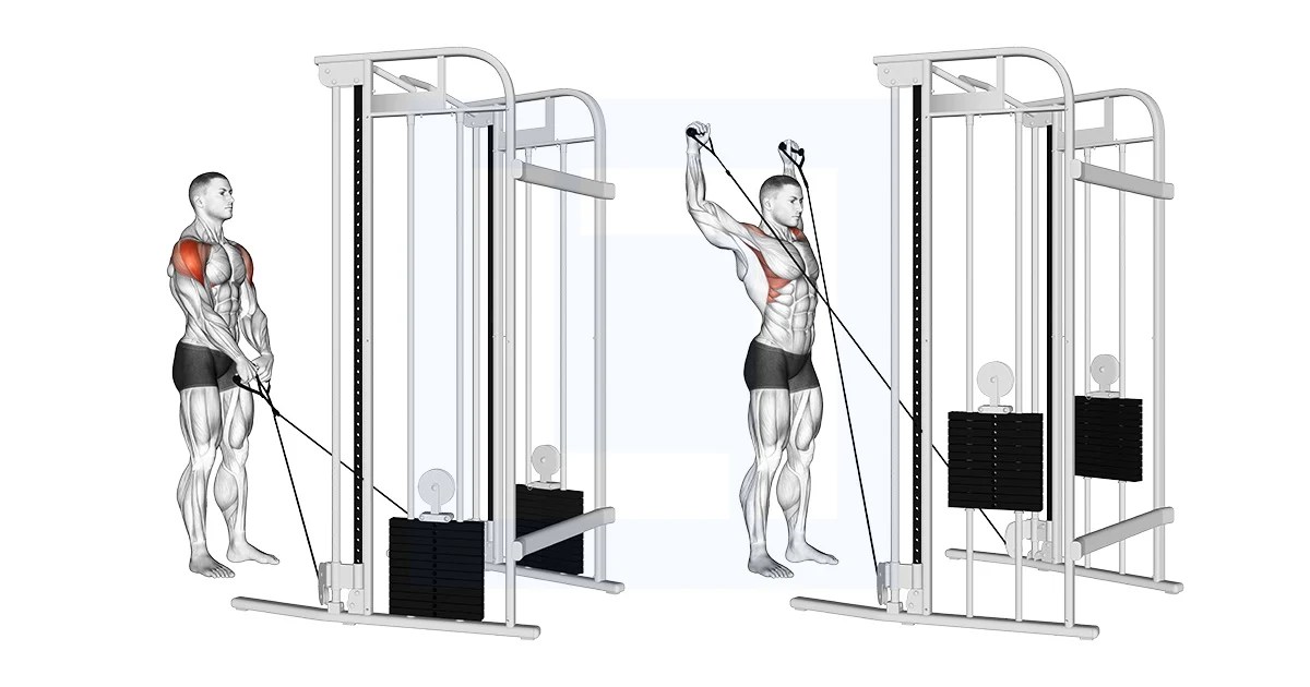 Cable Y Raise Guide, Benefits, and Form