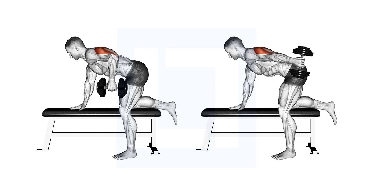 Dumbbell Kickback Guide, Benefits, and Form