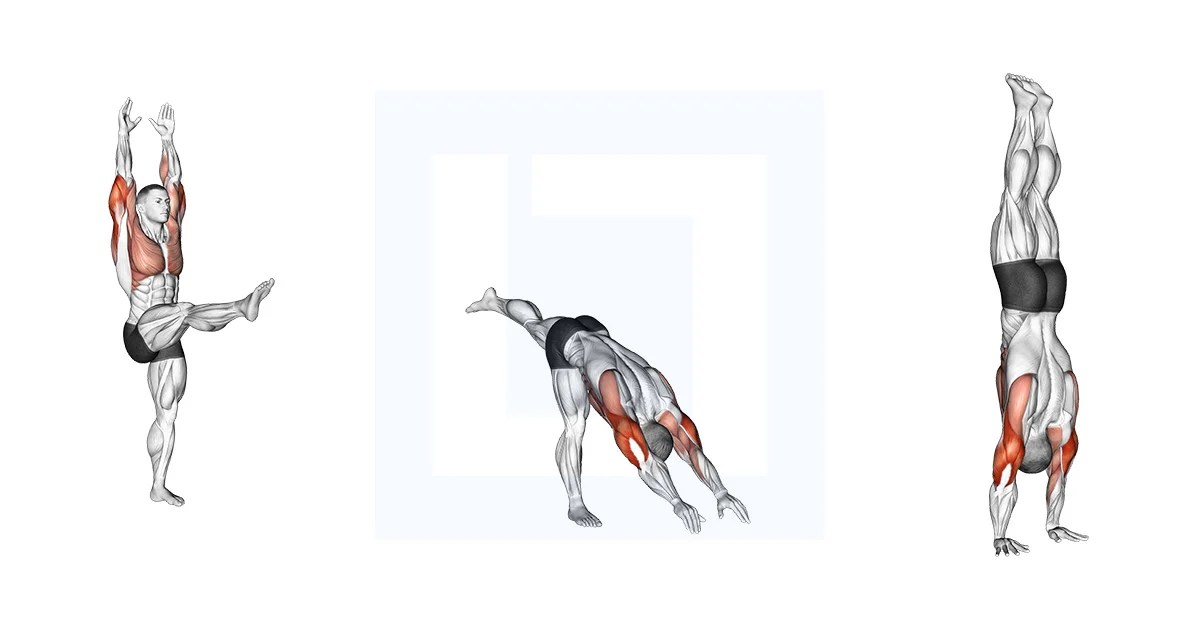 Handstand Guide, Benefits, and Form