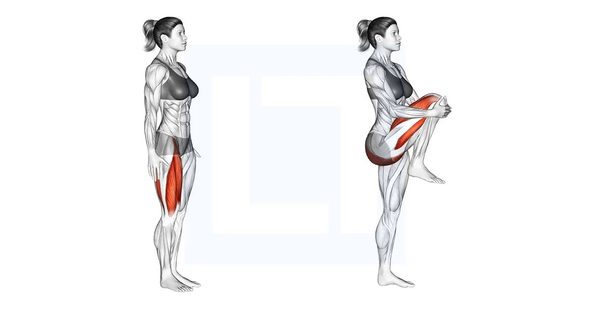Knee Raise Guide, Benefits, and Form