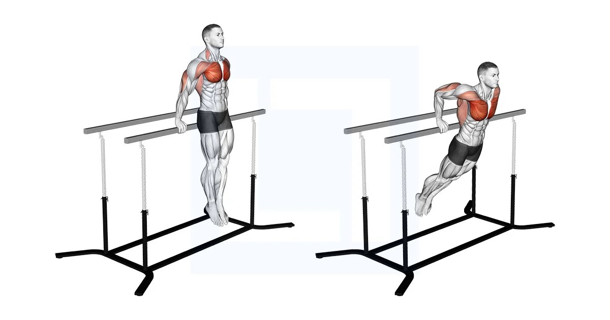 Korean Dips Guide, Benefits, and Form