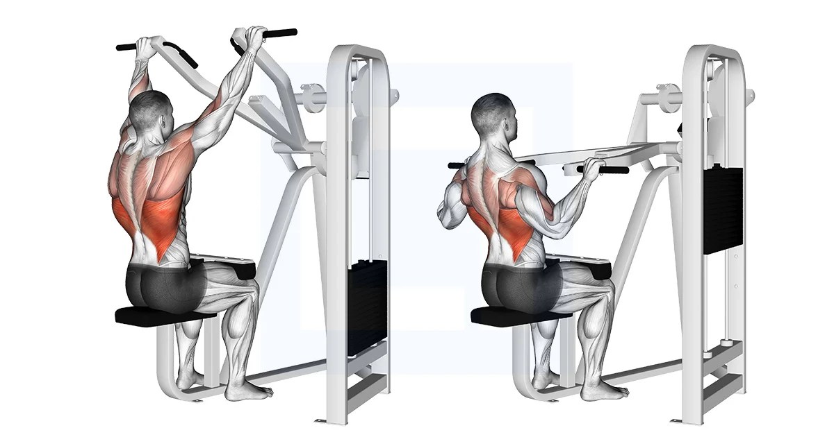 Lever Front Pulldown Guide, Benefits, and Form