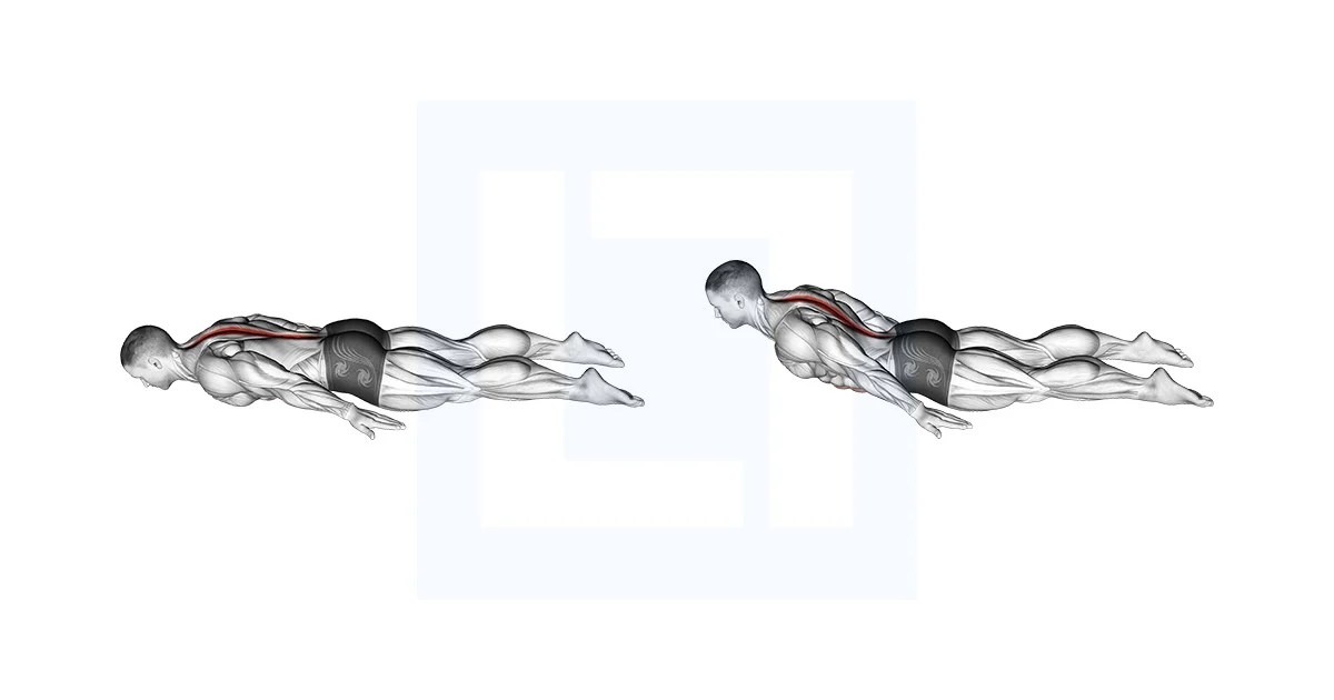 Lower Back Curl Guide, Benefits, and Form