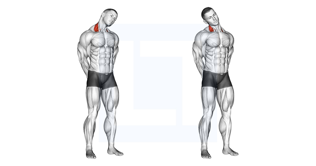 Neck Side Stretch Guide, Benefits, and Form