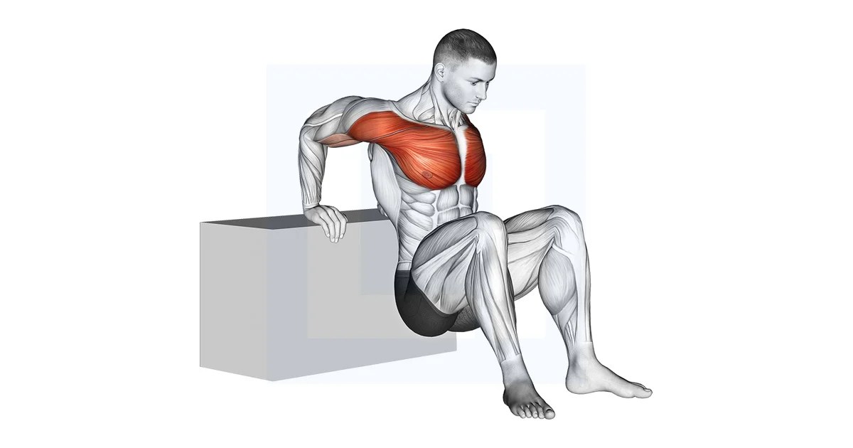 Resistance Band Pushup Guide, Benefits, and Form