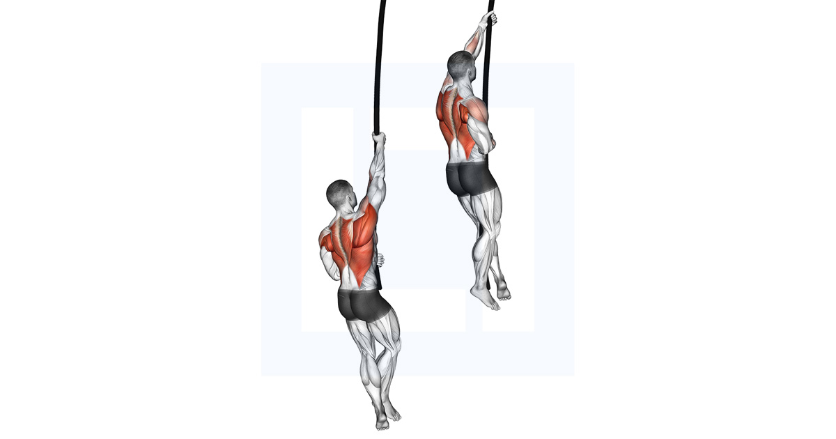 Rope Climb Guide, Benefits, and Form