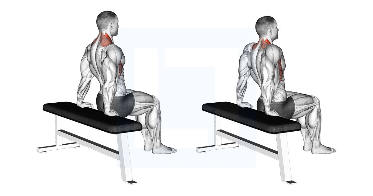 Scapula Dips Guide, Benefits, and Form