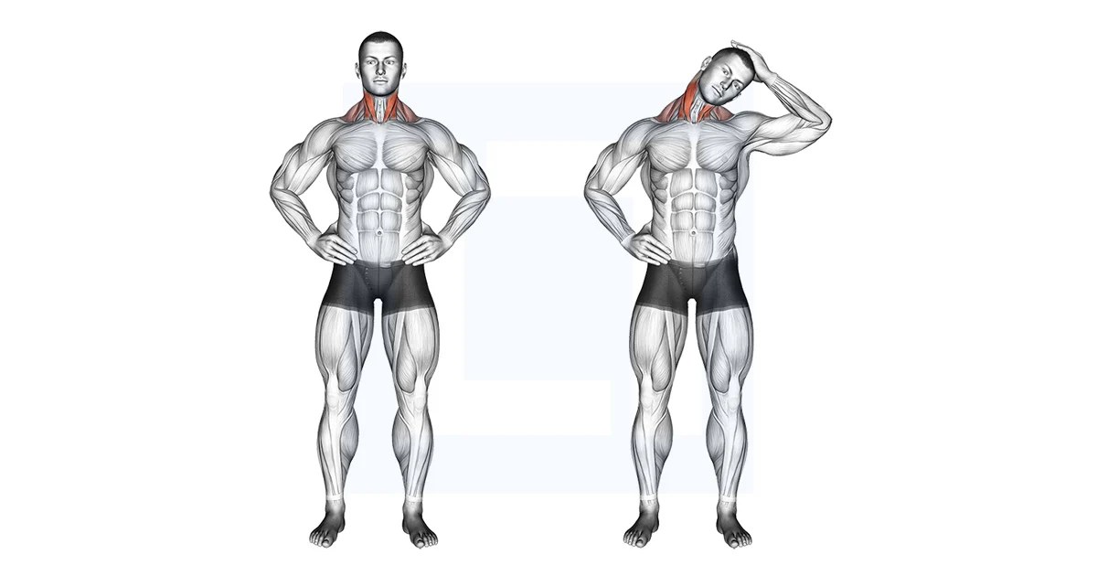 Side Neck Stretch Guide, Benefits, and Form