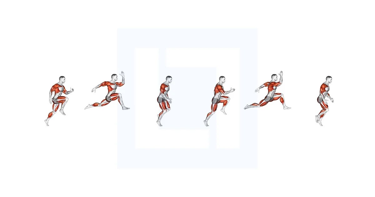 Wheel Run Guide, Benefits, and Form