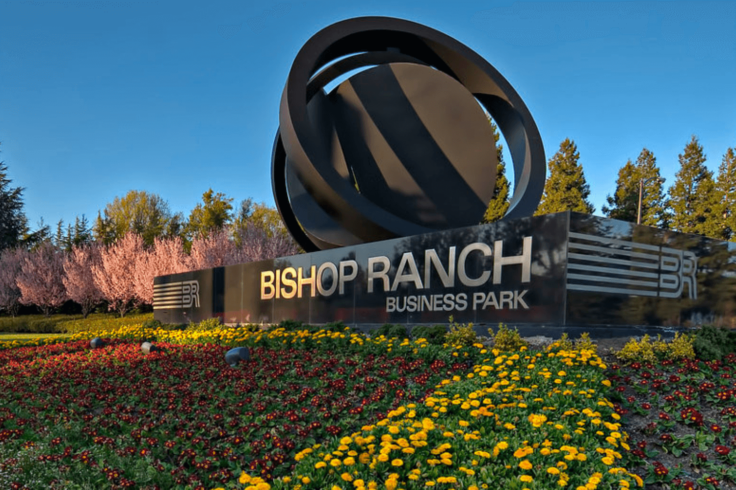 Michelle Lewis Real Estate Team