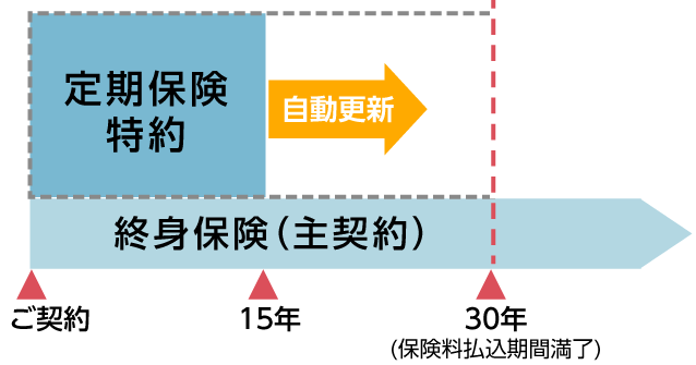 定期付終身保険とは？全期型・更新型の2タイプと加入後の注意点を解説 保険比較ライフィ