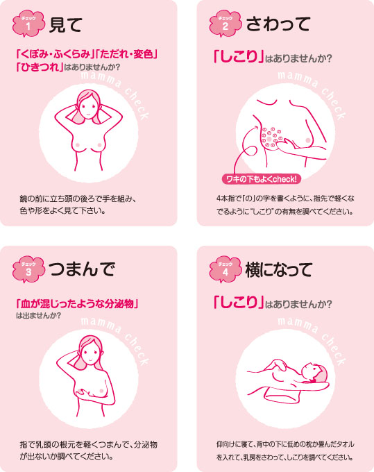 乳がん検診の検査内容と費用 セルフチェックと合わせて詳しく解説 保険比較ライフィ