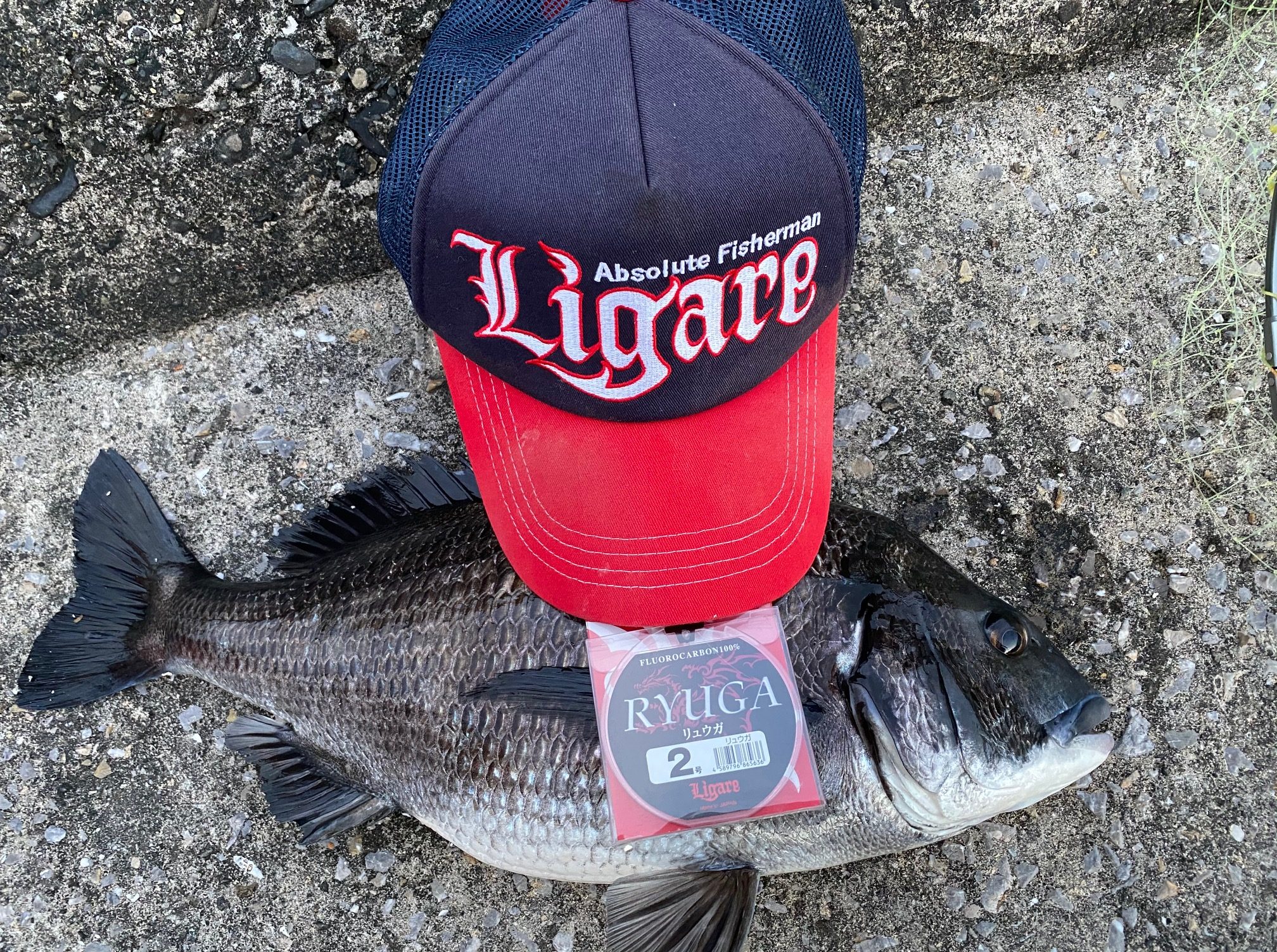 釣行レポート「愛媛県愛南市西浦」フィールドスタッフ 眞室 純一 Ligare【リガーレ】｜全ては釣り人のために