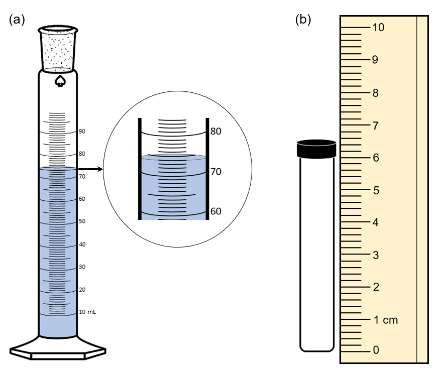 How many milliliters of water does the graduated cylinder in (a