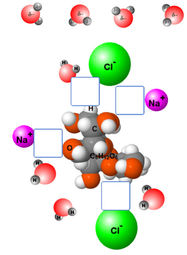 Move each water molecule (with each having... Clutch Prep
