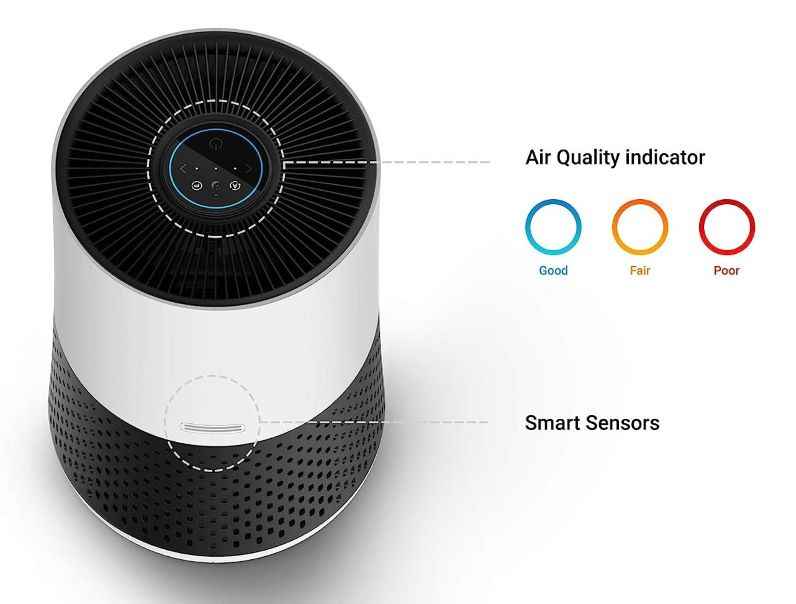 How To Choose The Best Winix Air Purifier In 2023