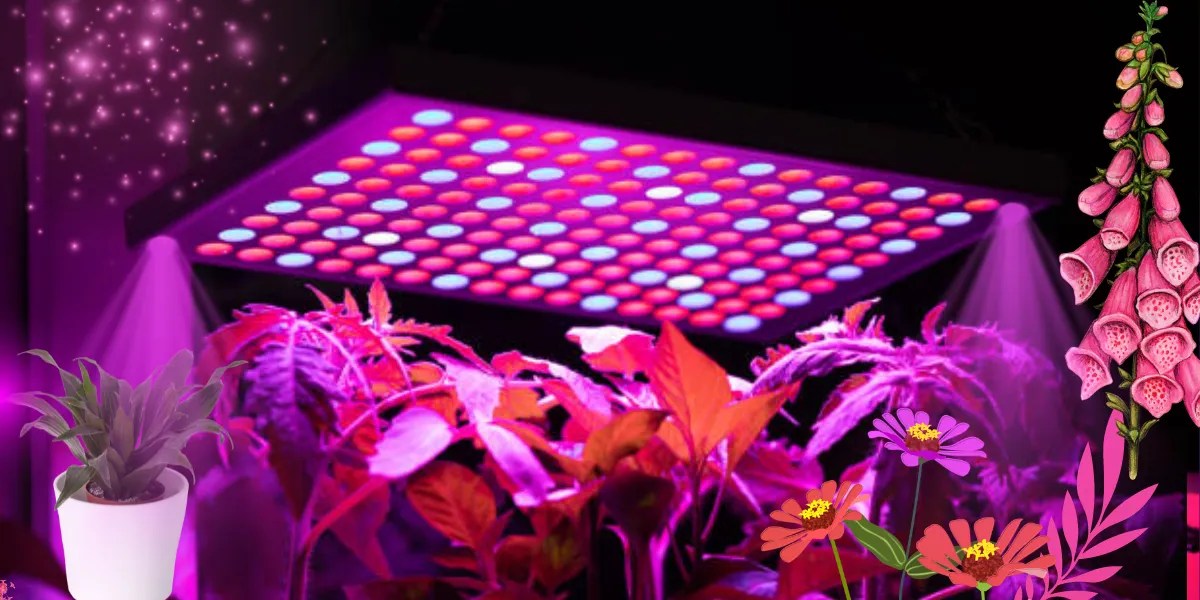 How To Hang A Grow Light 5 Simple Steps For Indoor Gardeners