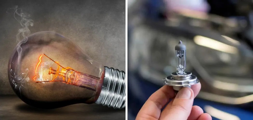 How to Tell if Halogen Bulb is Blown 11 Easy Steps (2024)
