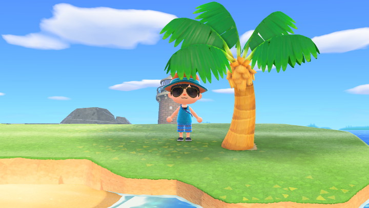 How to Plant Palm Trees on Grass in Animal Crossing New Horizons Lightgun Galaxy