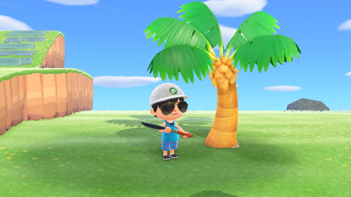 How to Plant Palm Trees on Grass in Animal Crossing New Horizons Lightgun Galaxy