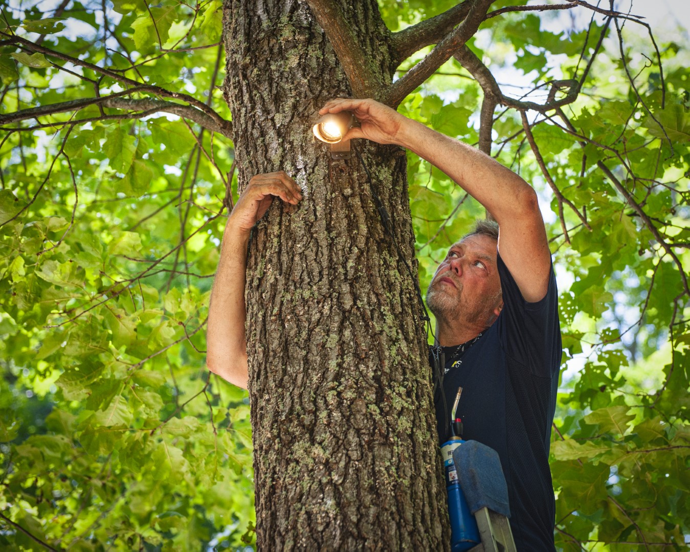 Outdoor Lighting in Morris County, NJ