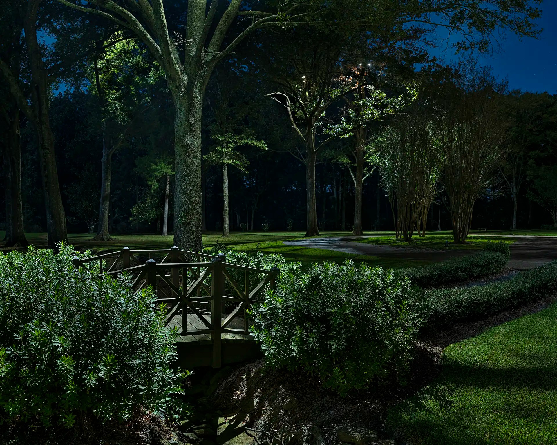 Gallery Birmingham The Lighthouse Group