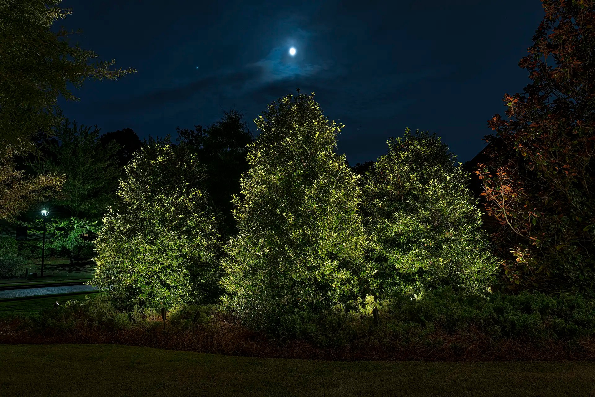 Gallery Birmingham The Lighthouse Group