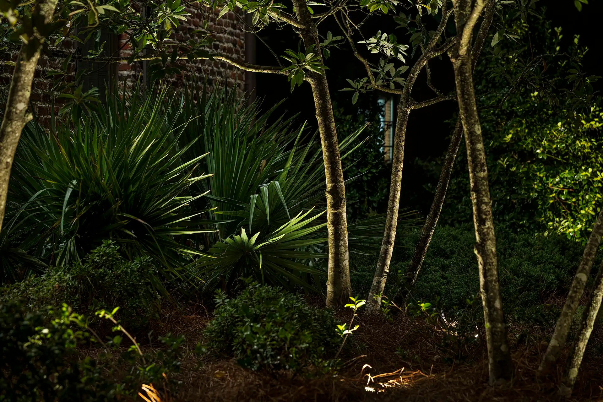 Gallery Birmingham The Lighthouse Group