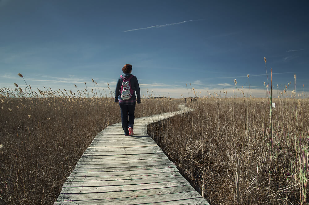 Discover Breathtaking Views Hiking on Cape Cod The Lighthouse Inn