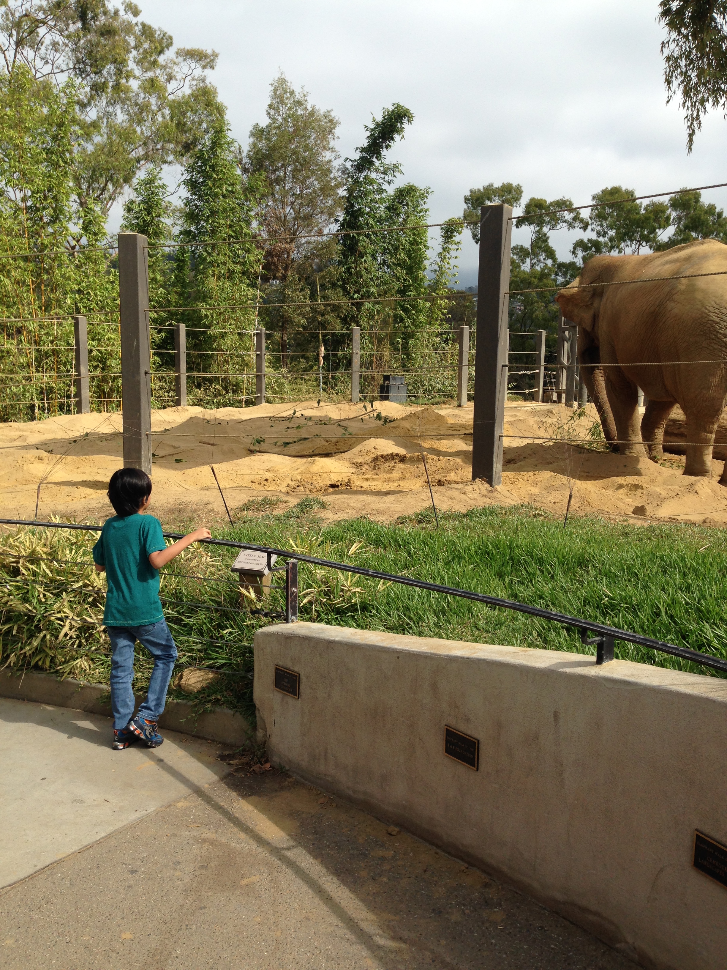 A Day at the Santa Barbara Zoo!