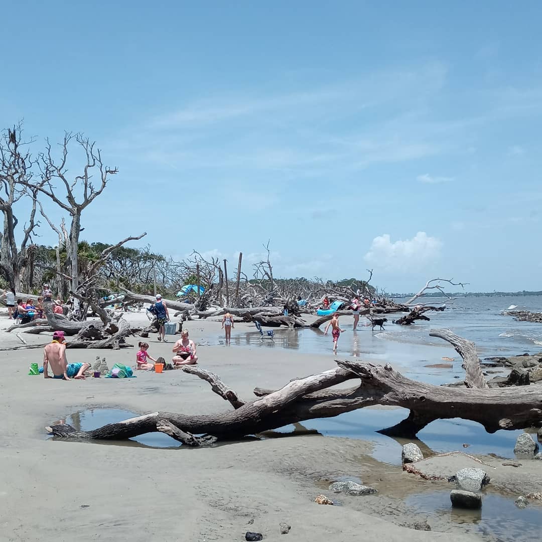 Your Guide to Visiting Driftwood Beach on Jekyll Island Lighthouse