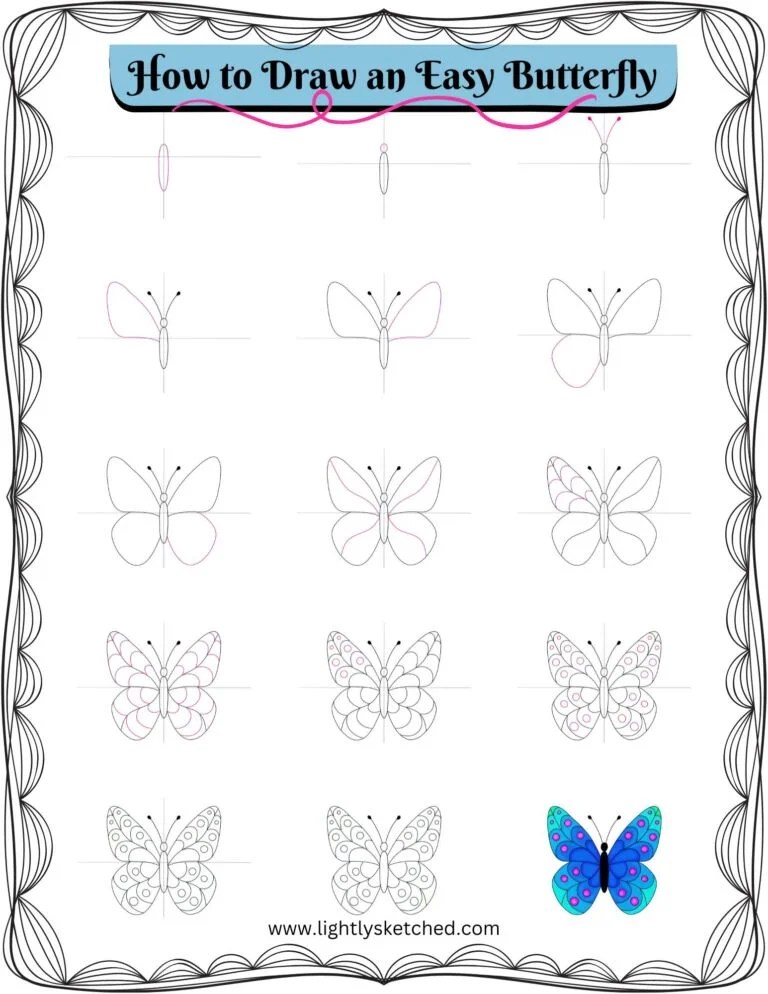 How to Draw a Simple Butterfly Step by Step Drawing