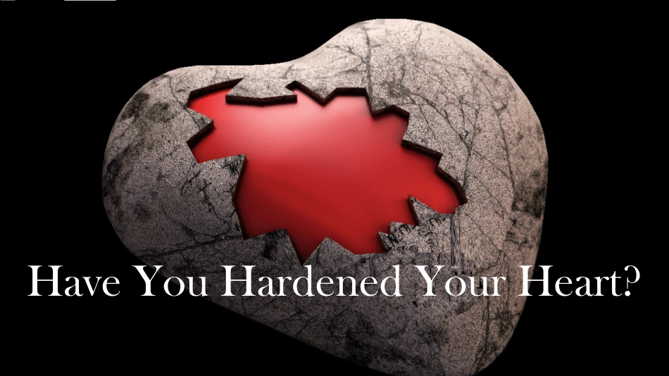 The Danger of a Hardened Heart The Light of Christ Journey