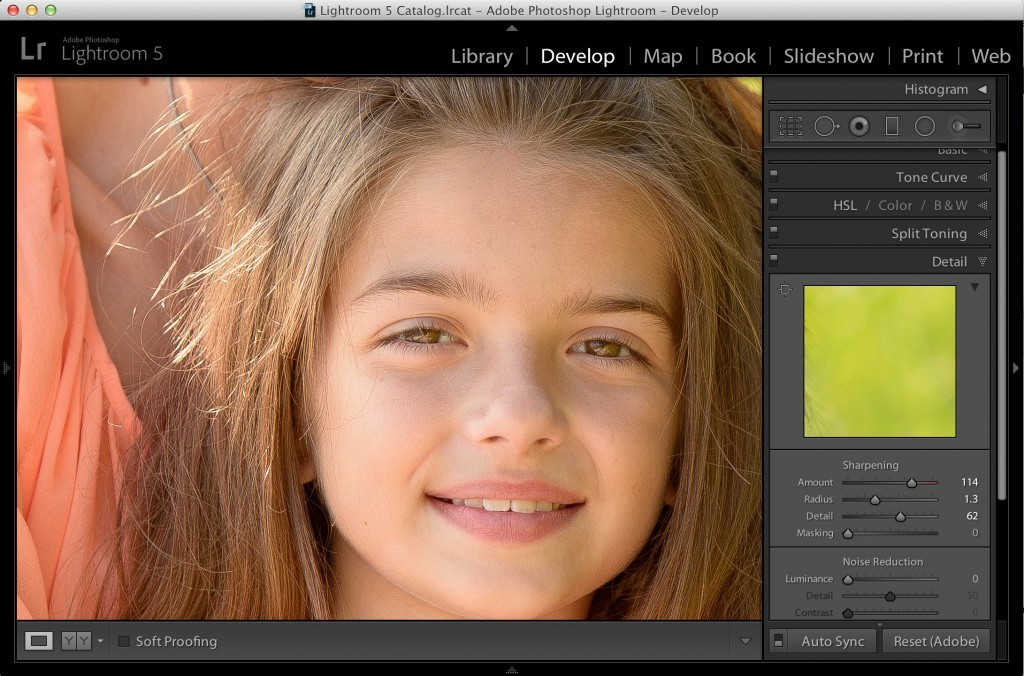 Day 2 of "I'm Giving Up Month Lightroom Killer Tips