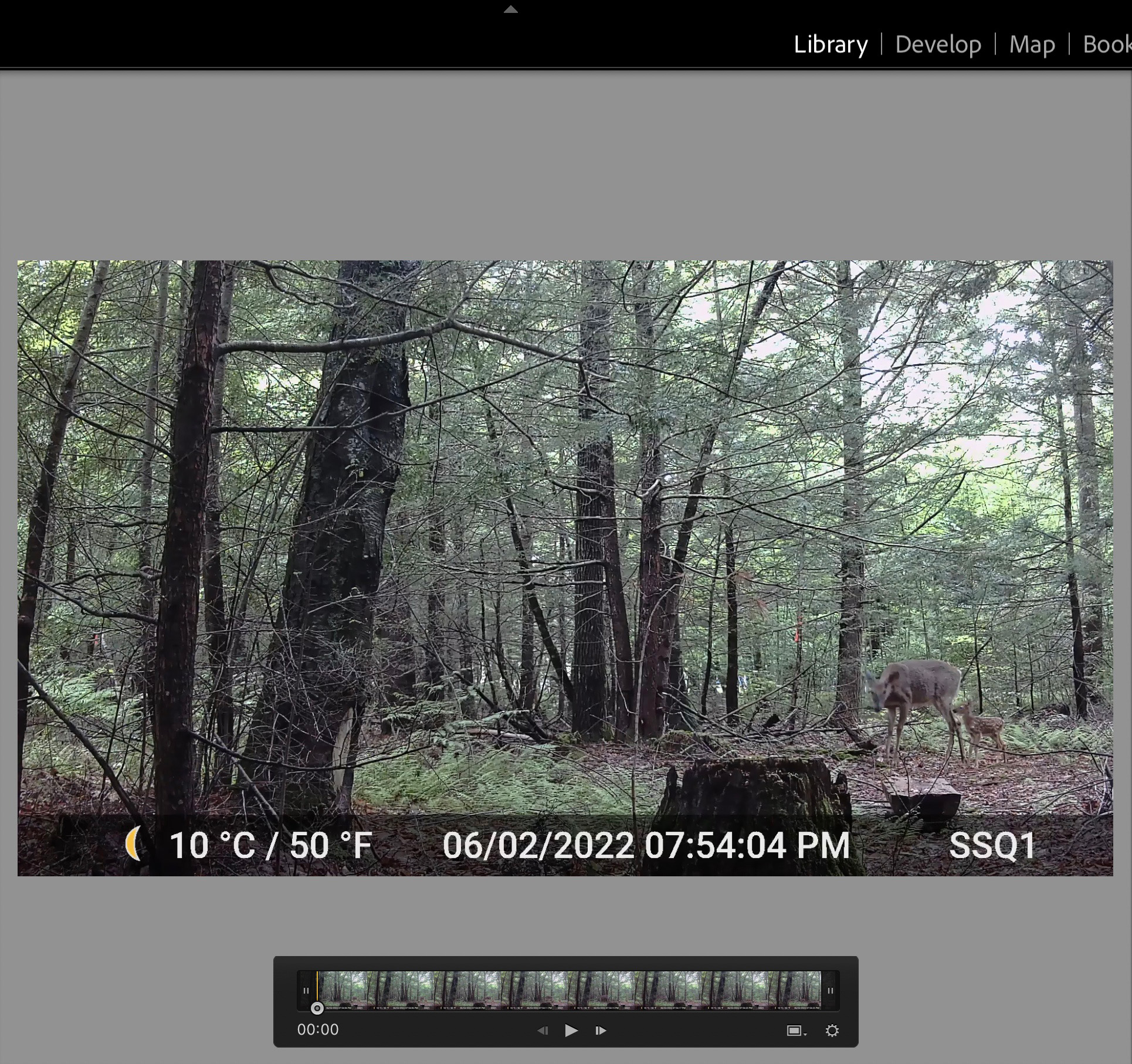 Editing Video in Lightroom Classic (LrC) Lightroom Killer Tips