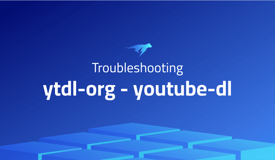 Troubleshooting Common Issues in youtubedl Lightrun