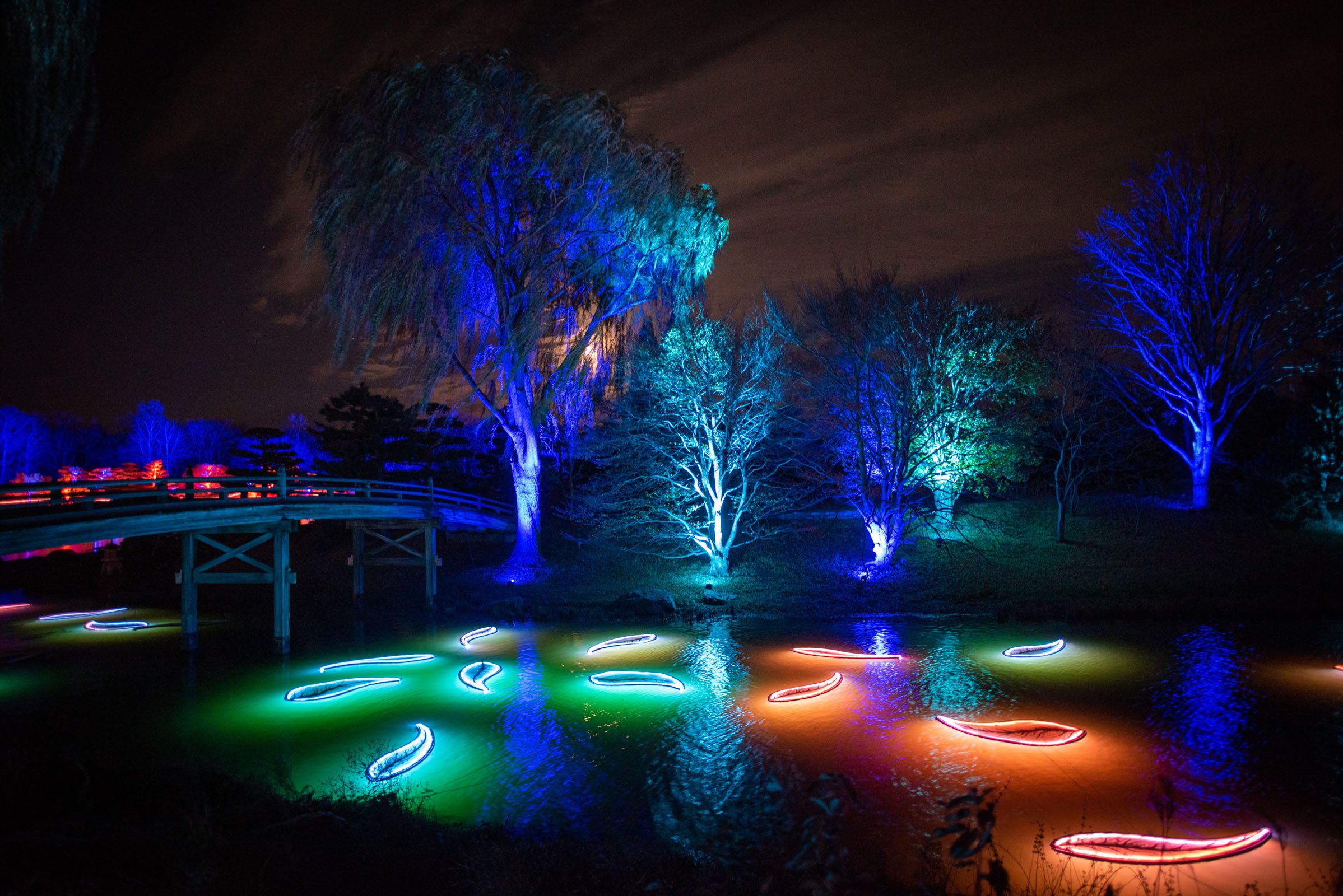 2023 Lightscape Preview Chicago Botanic Garden