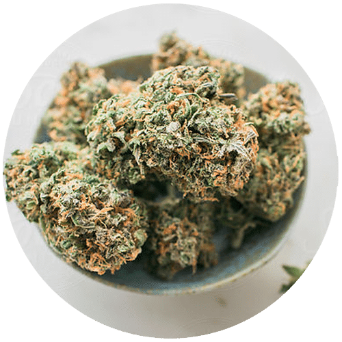 Lightshade Marijuana Dispensaries in Denver & Aurora Best Selection