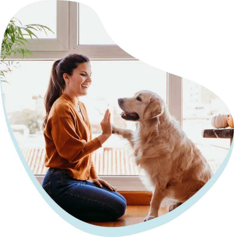 About Us - Lights On ETC