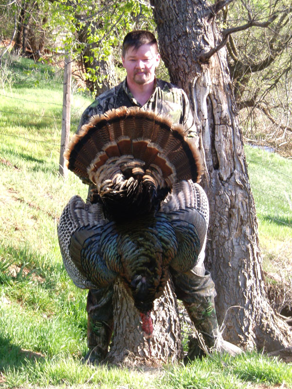 Gallery Lights Out Custom Calls